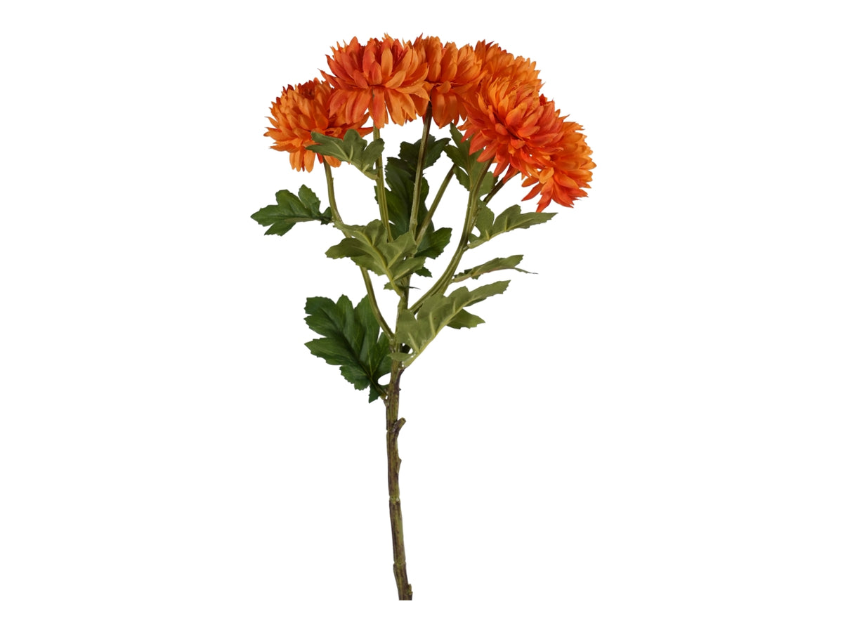 Tralcio crisantemo arancione