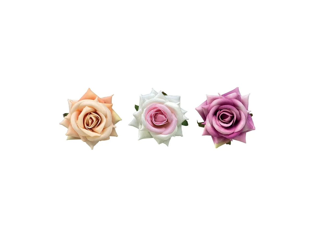 Penna Roses