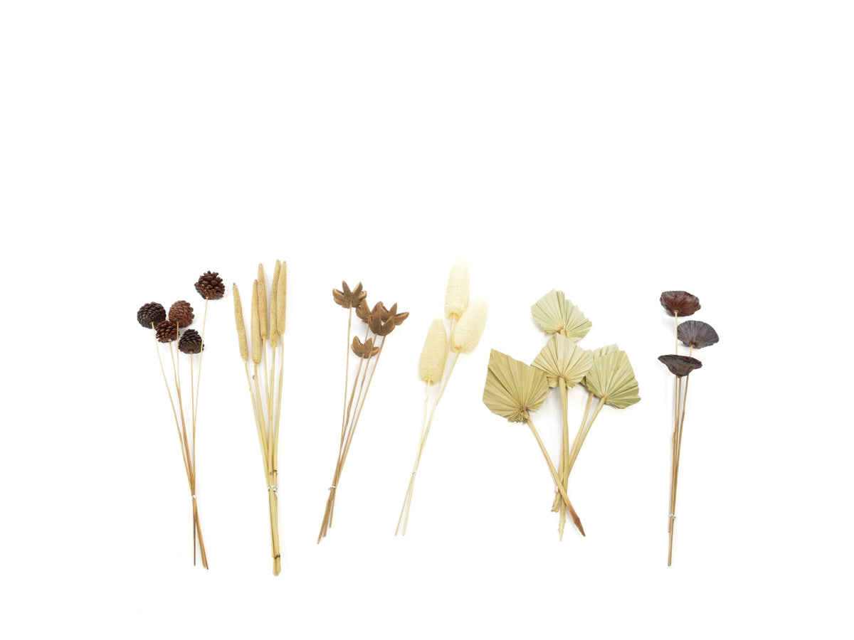 Fiori secchi naturali per decorazione 78cm, modelli assortiti