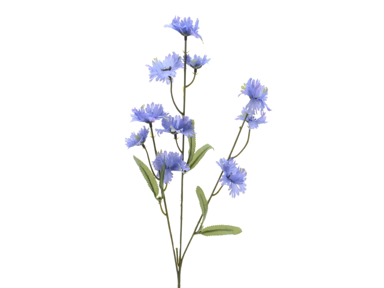 Fiordaliso viola 5x12xh.55cm