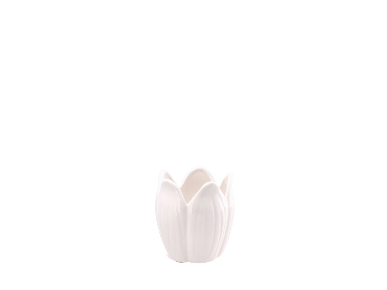 Dolom lale vaso forma di fiore d.8xh8,5cm, 4 colori assortiti