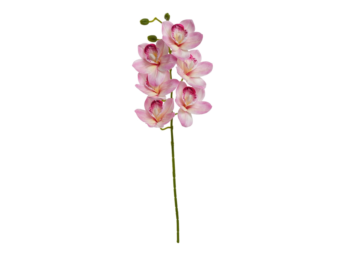 Orchidea ramo 68cm con 6 fiori rosa