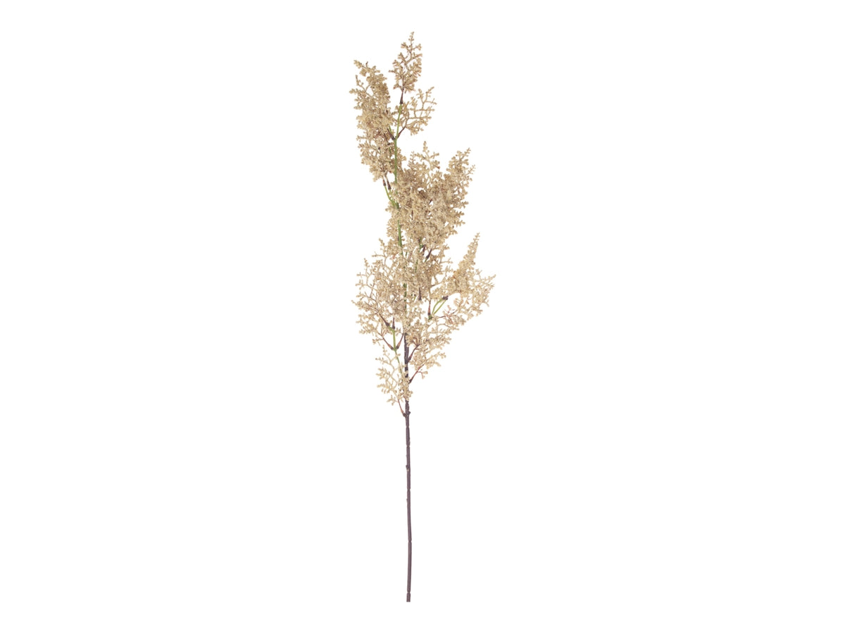 Ramo euphorbia floccata 63cm crema