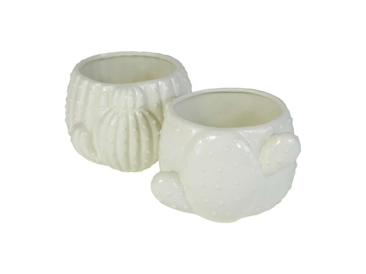 Vaso cactus in ceramica 15x13x10cm bianco, 2 modelli assortiti