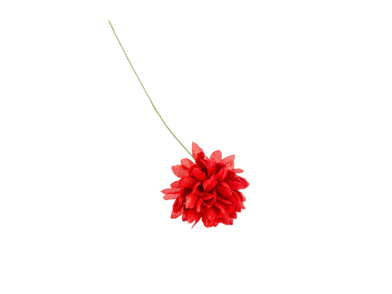 Dalia rossa in confezione da 36 fiori