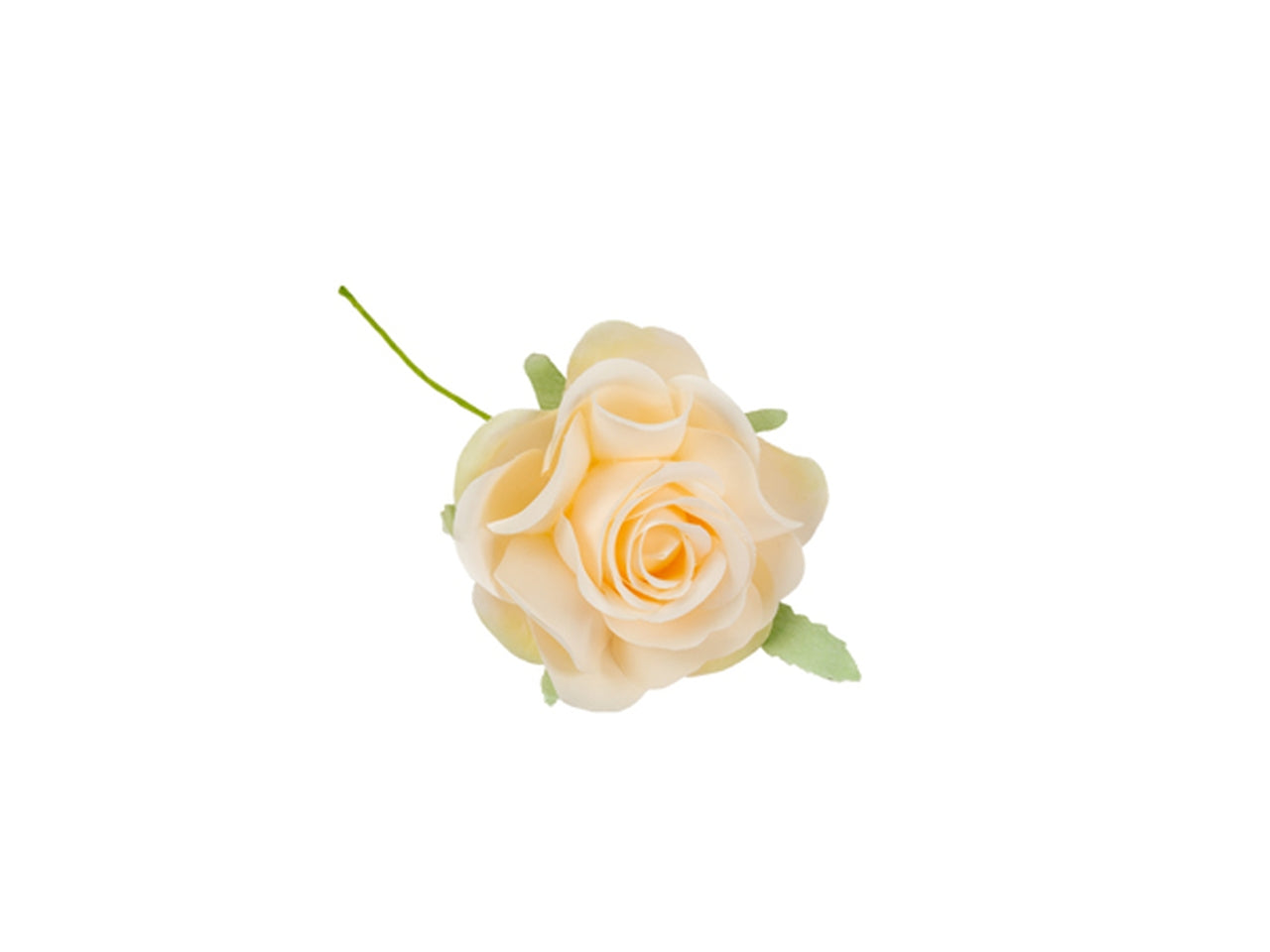 Rosa a bocciolo cipria in confezione da 12 fiori