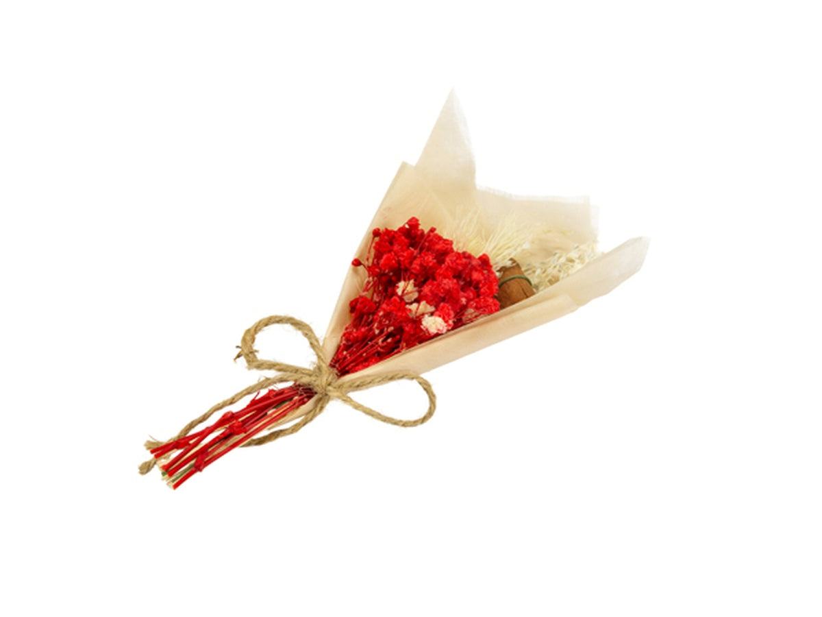 Bouquet con fiori secchi rosso in confezione da 6 pezzi