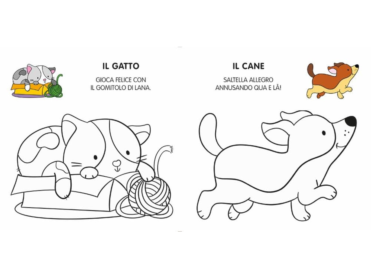 Miei primi animali da colorare