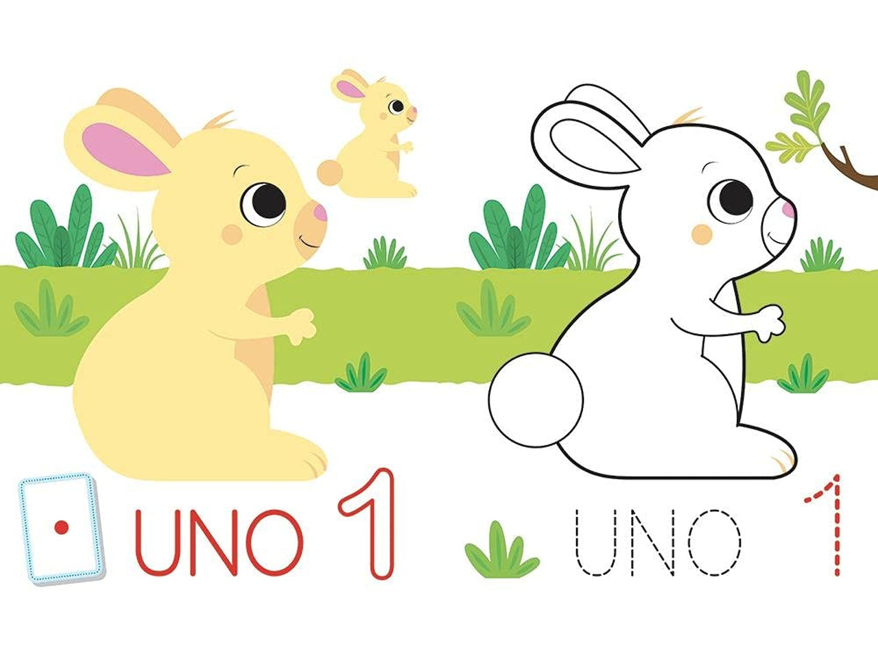 Attacca colora impara i numeri