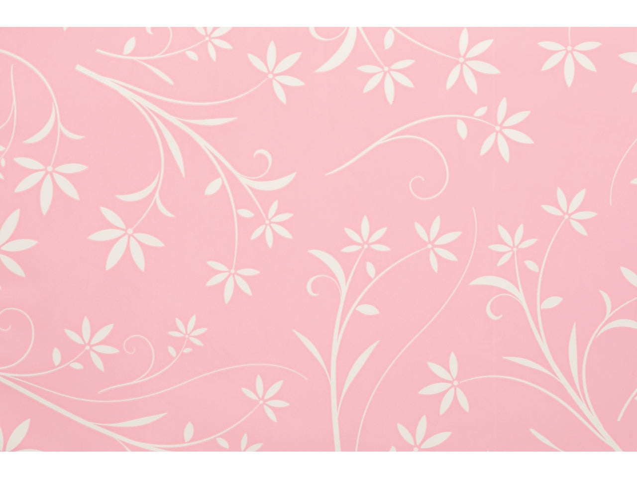 Buste silhouette 16x25cm, confezione da 100 pezzi assortite