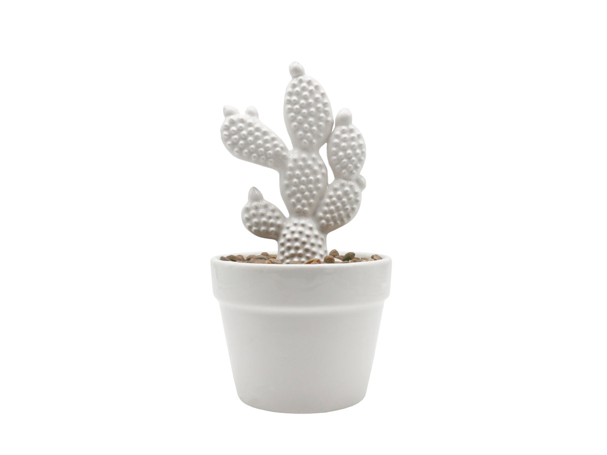 Cactus h.20cm bianco