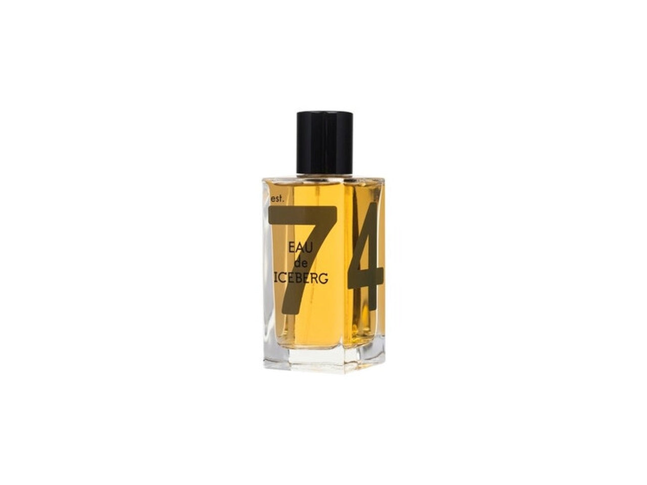 Iceberg eau de iceberg amber pour homme eau de toilette 100ml
