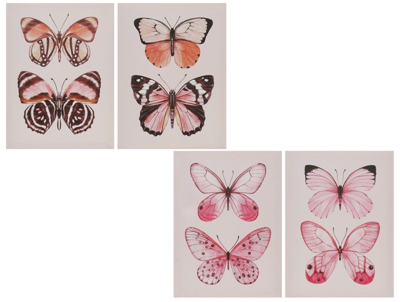 Quadro farfalle 30x40x1,5cm in 4 assortimenti