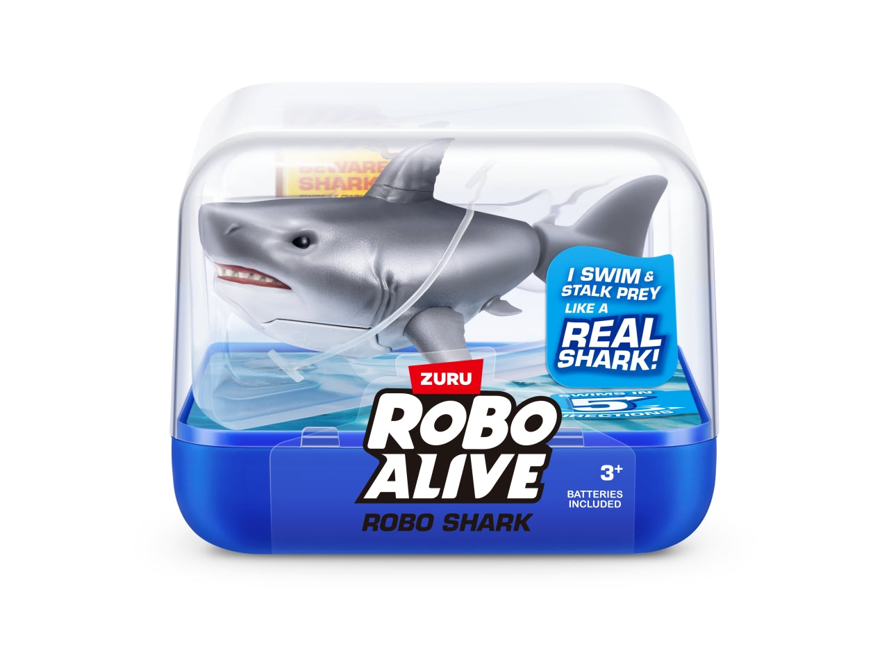 Roba alive scqualo nuotatore