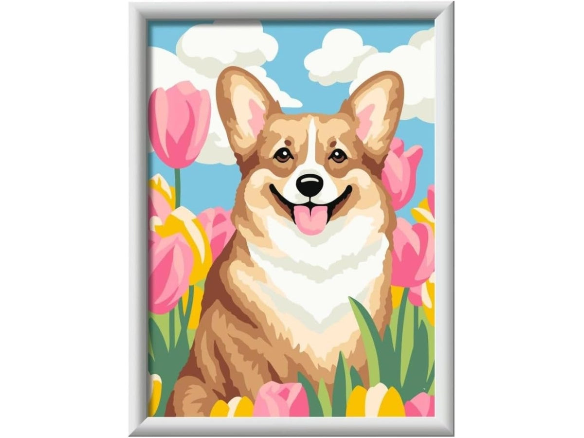 Creart serie d corgi