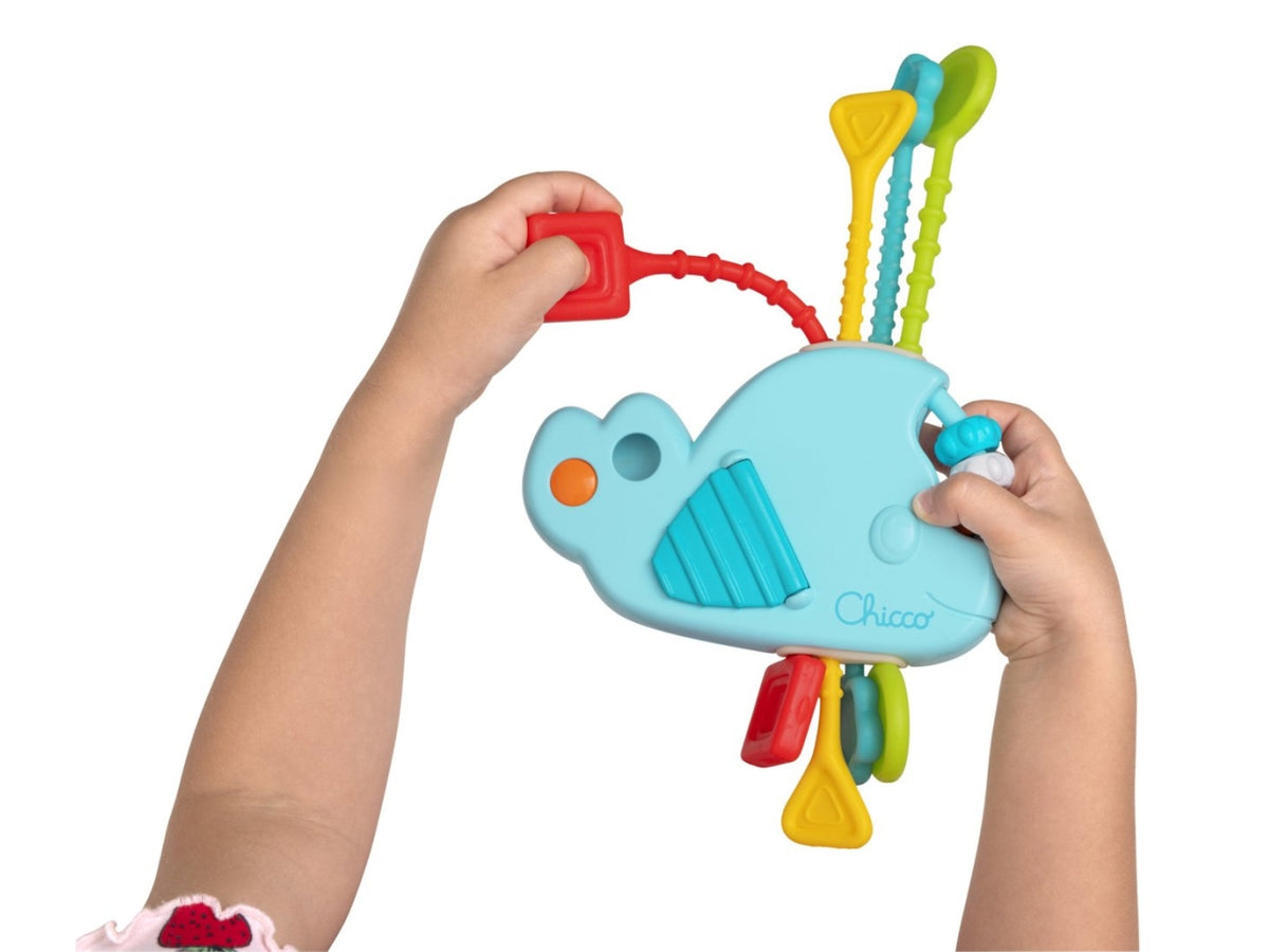 Chicco gioco balena