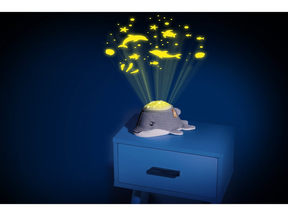 Chicco gioco delfino dolce notte