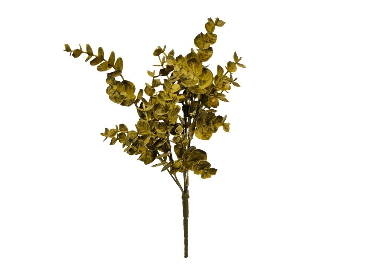 Mazzo di Eucalipto verde muschio