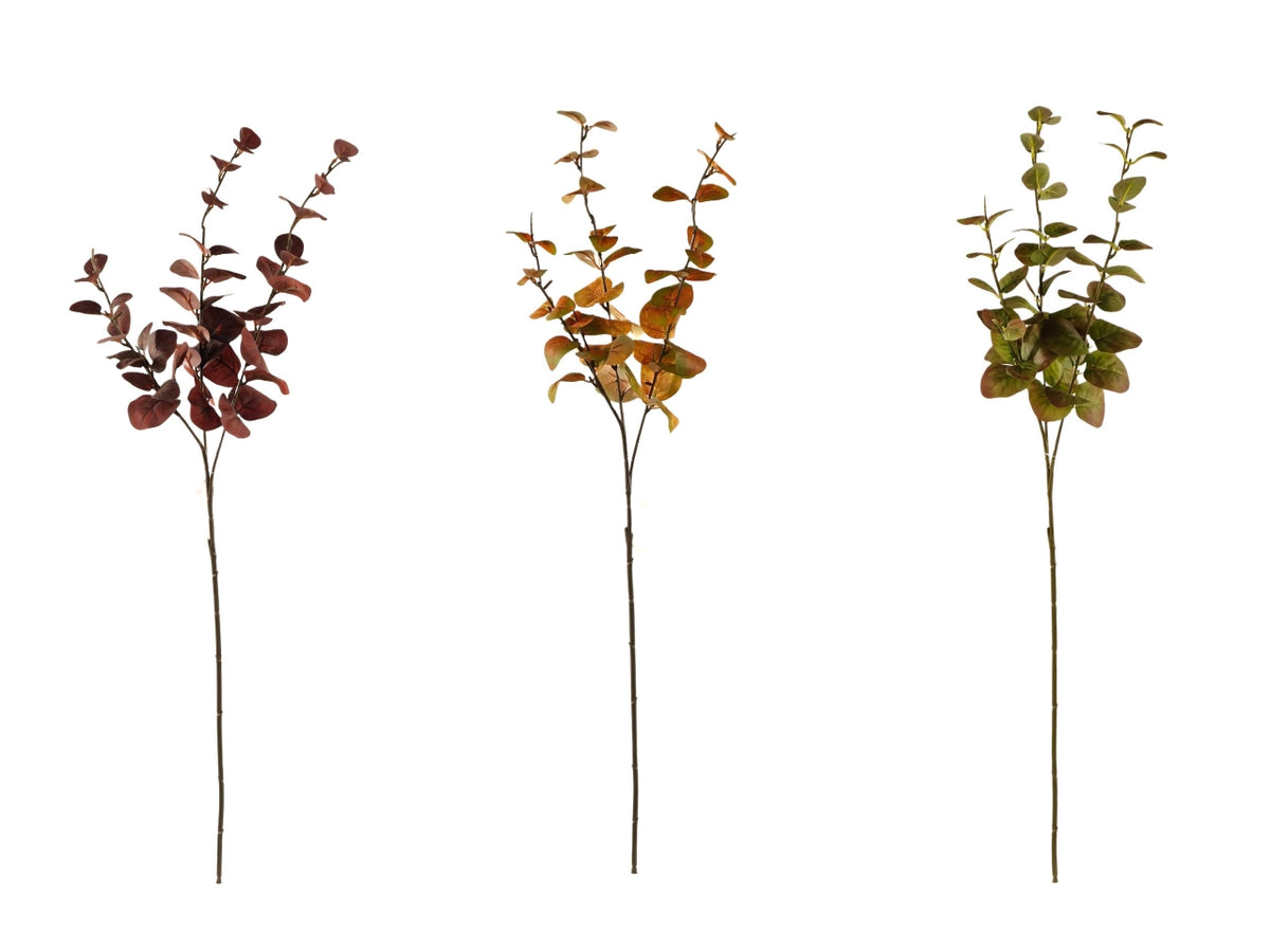 Eucalipto ramo 74cm in colori assortiti