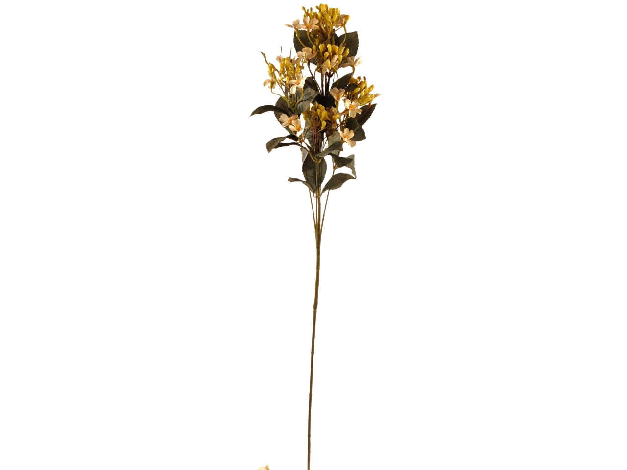 Ramo di fiore di melo beige