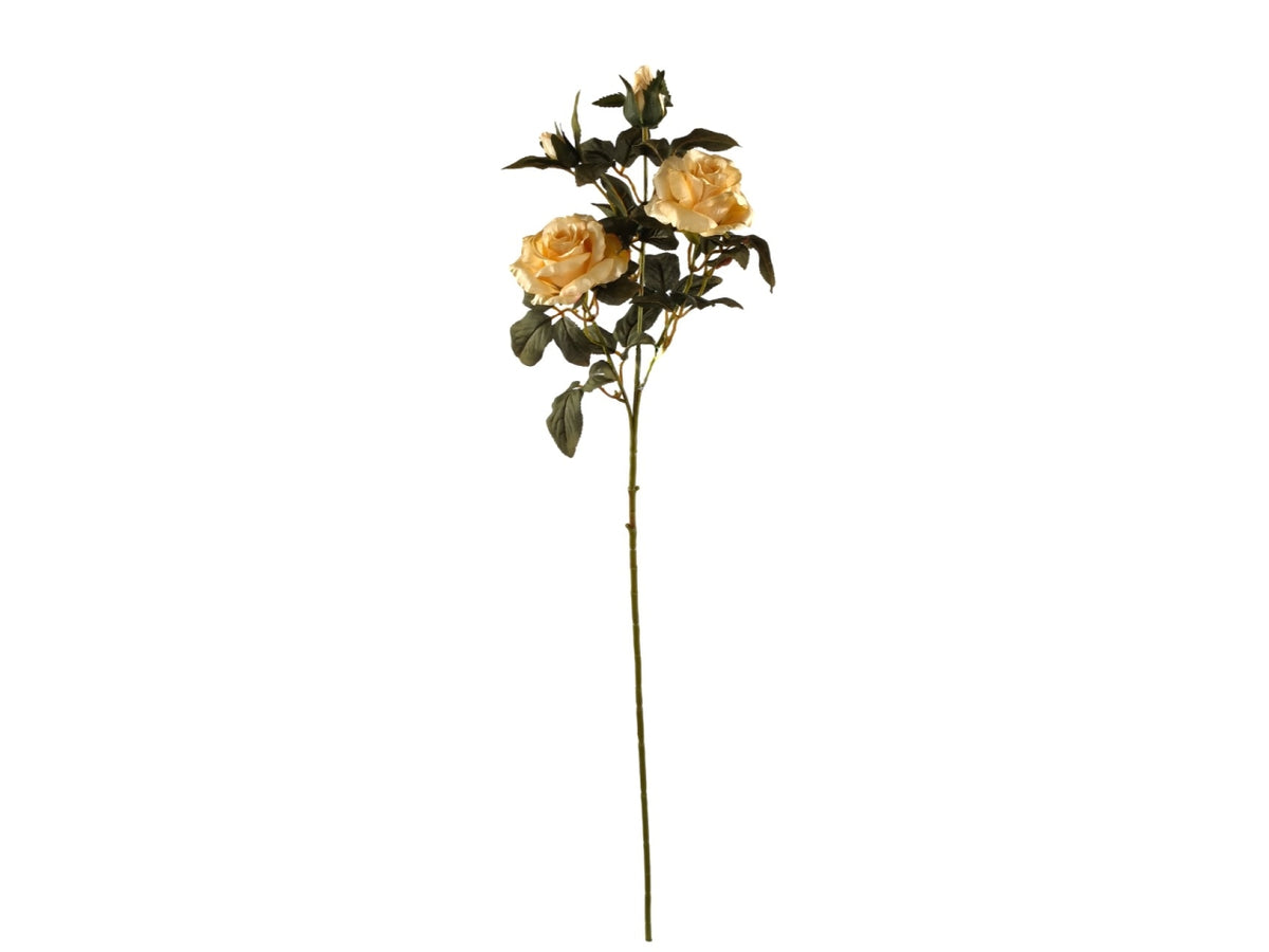 Rosa con 2 fiori e 2 boccioli 67cm beige