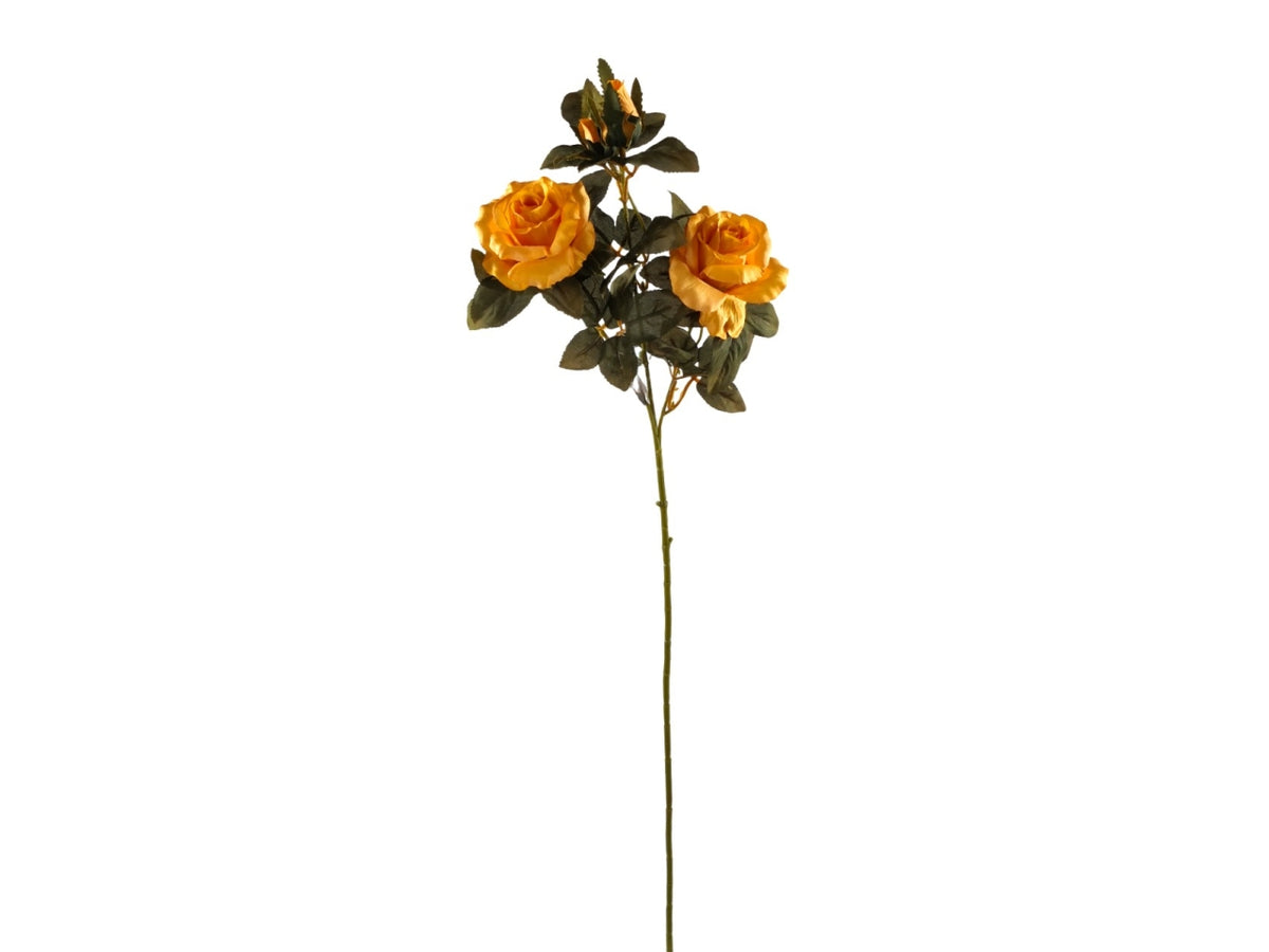 Rosa con 2 fiori e 2 boccioli 67cm giallo