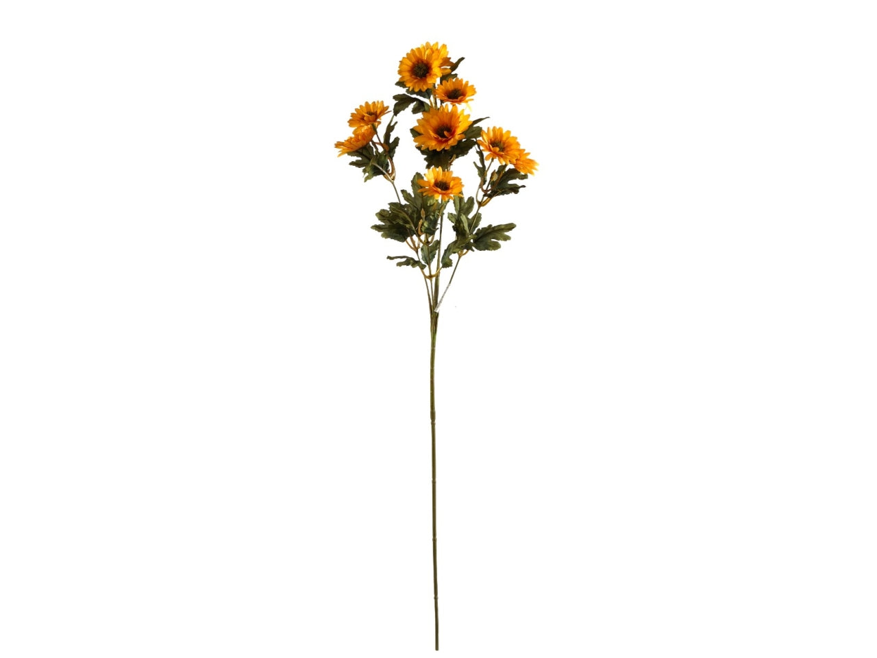 Margherita ramo con 10 fiori giallo