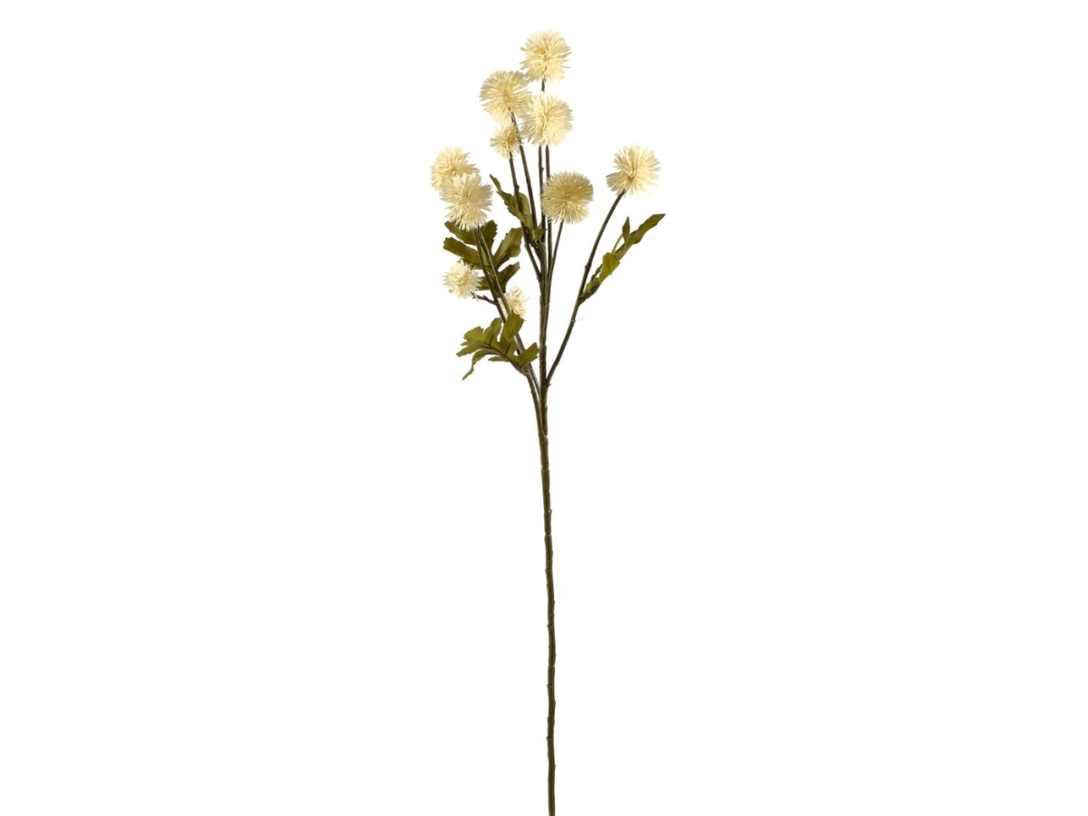 Xanthium ramo 61cm con 10 fiori avorio