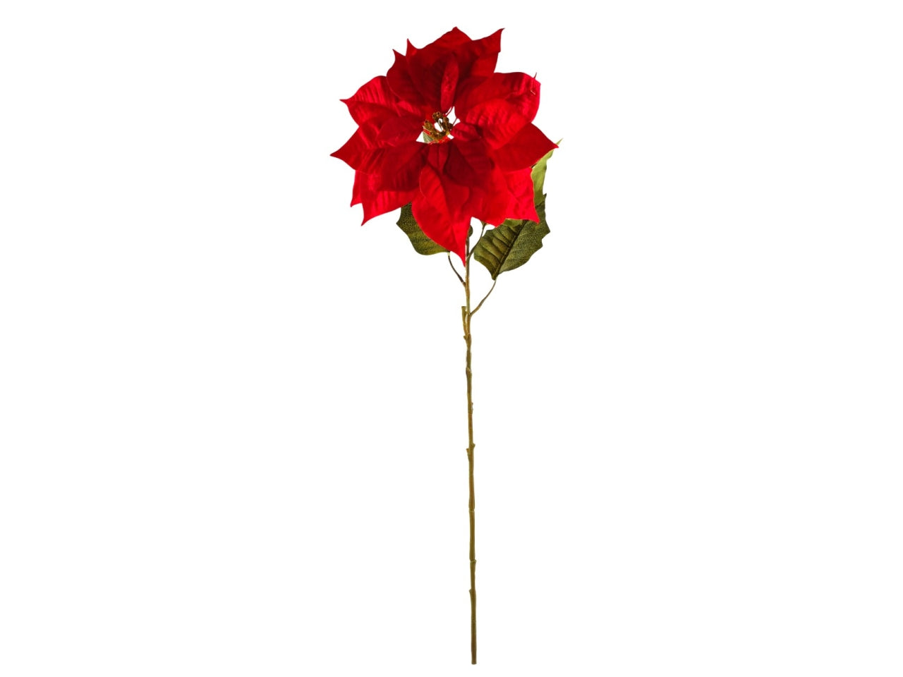 Stella di natale grande singola rossa