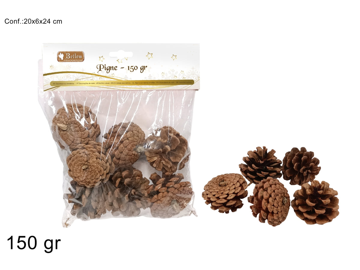 Busta pigne 150gr