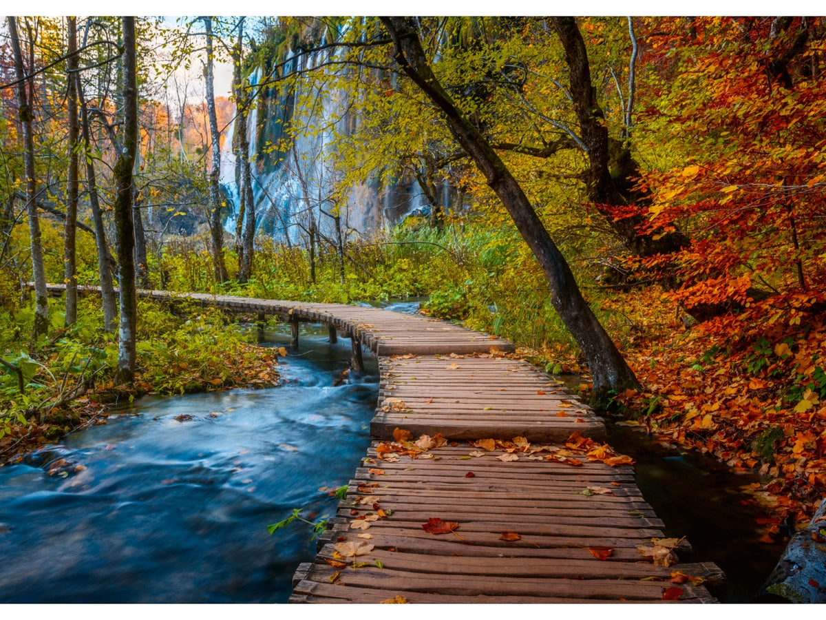 Puzzle Sentiero nel bosco autunnale 1000 pezzi