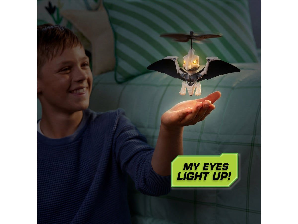 Dino flyers