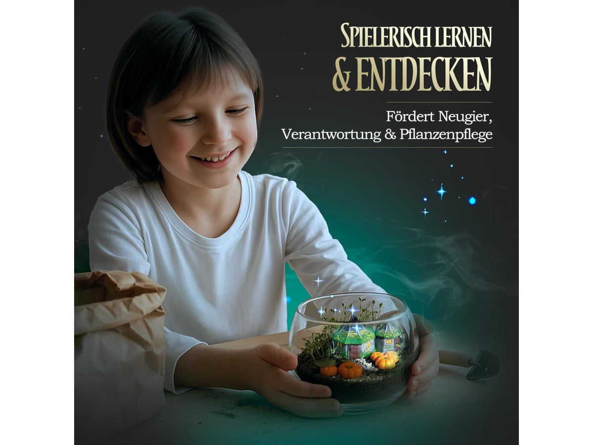Harry potter hagrid's hut terrarium