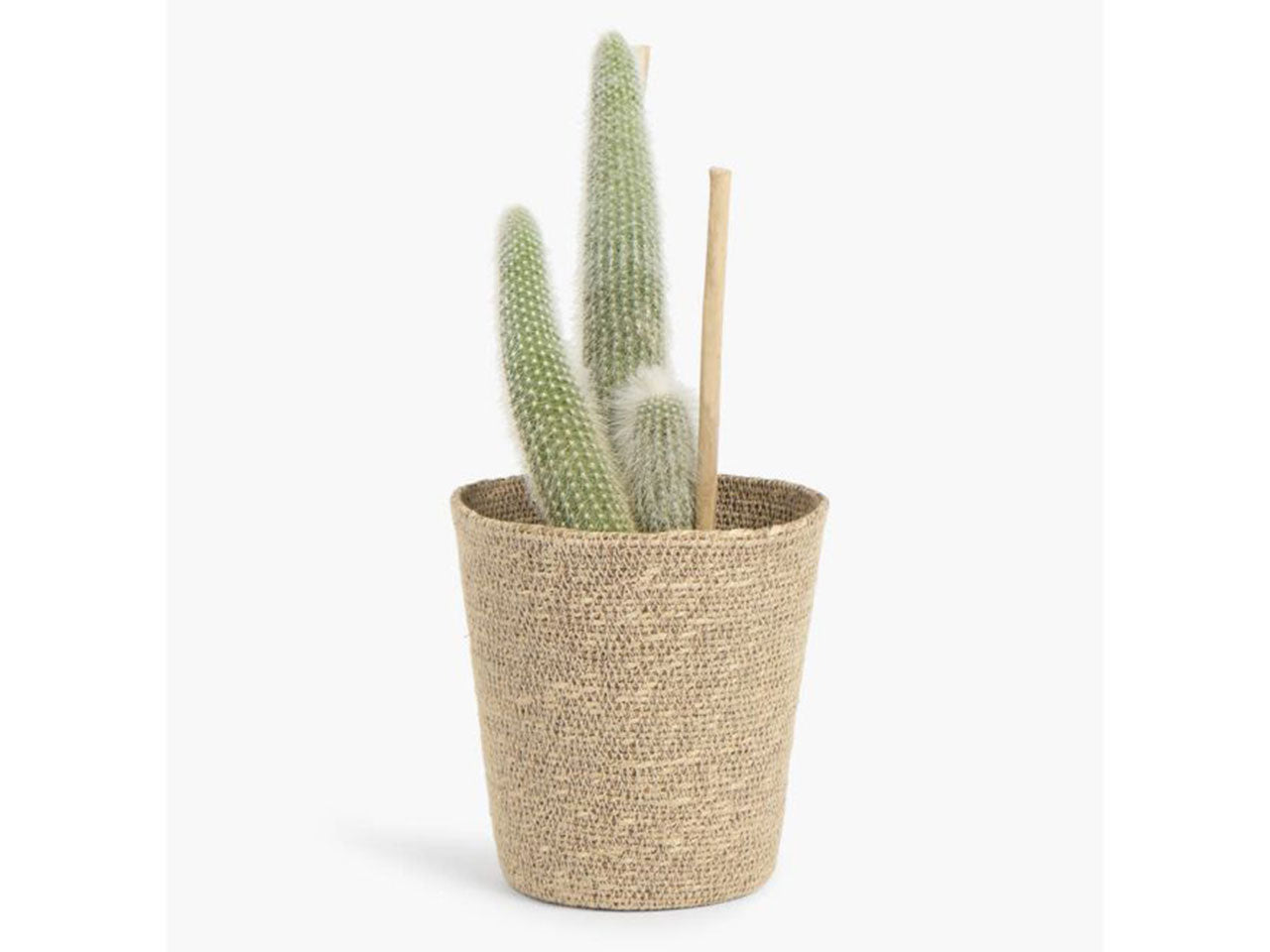Cesta arakame top d.20xbase d.13x20cm