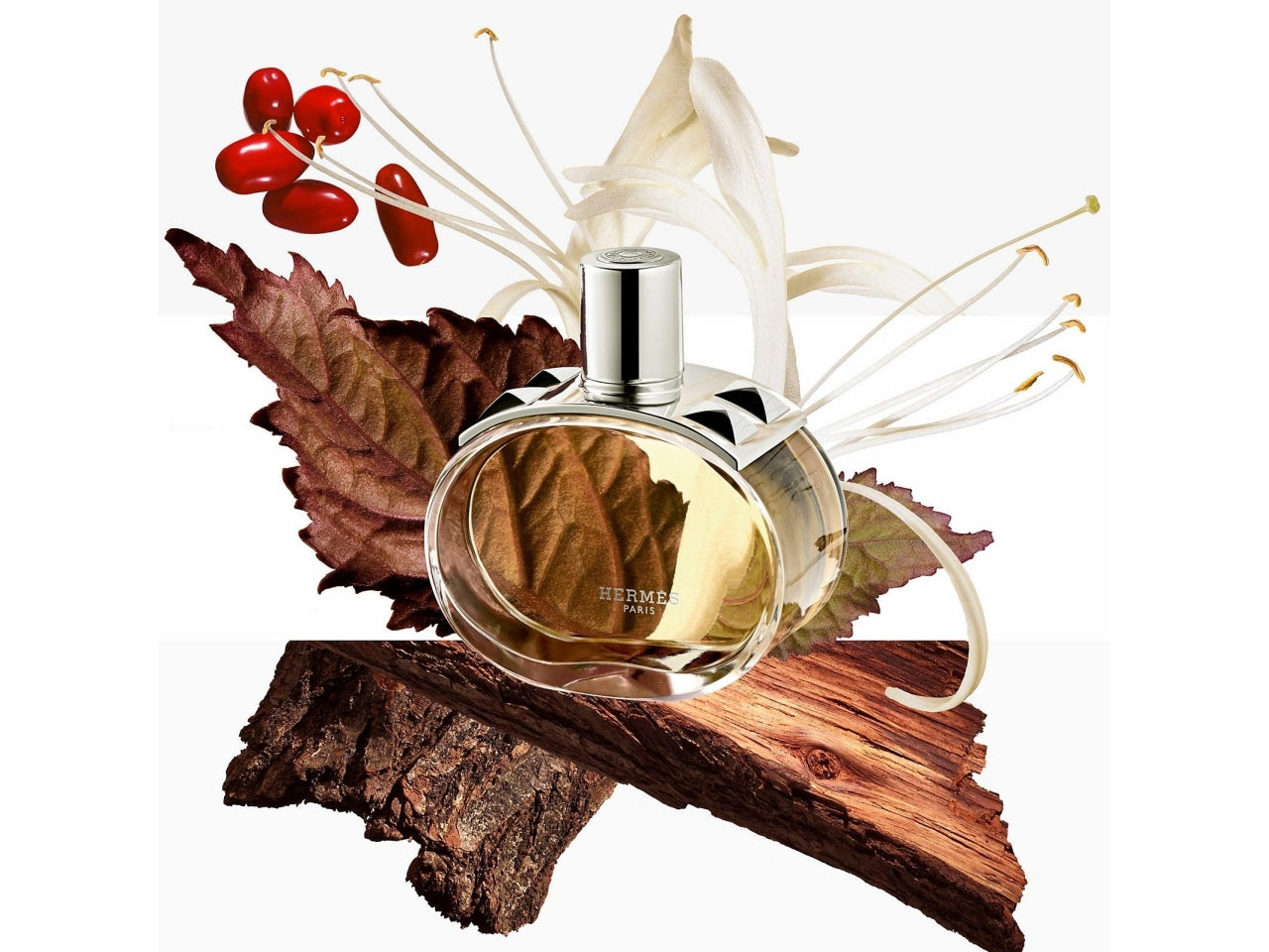 Profumo Donna Hermes Barénia Eau De Parfum 60 ml, Donna, Flacone ricaricabile, Profumo, Giglio di sego, Frutto miracoloso, Legno di quercia, Patchouli, Spray $