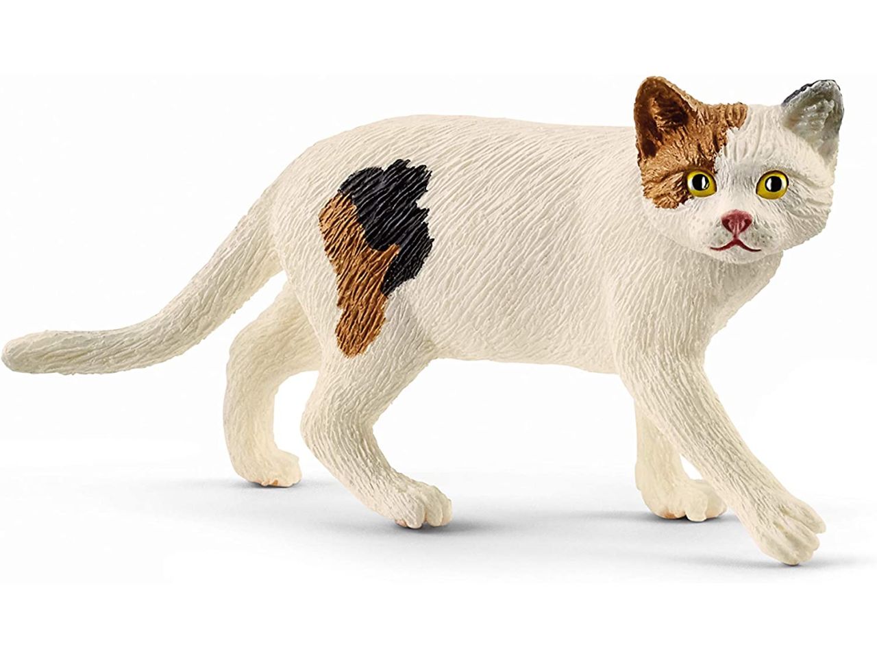 Gatto americano a pelo corto