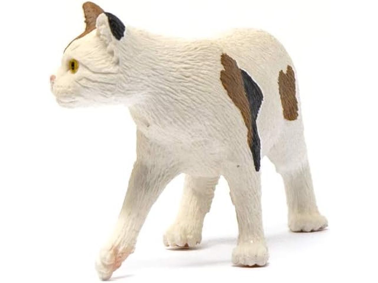 Gatto americano a pelo corto