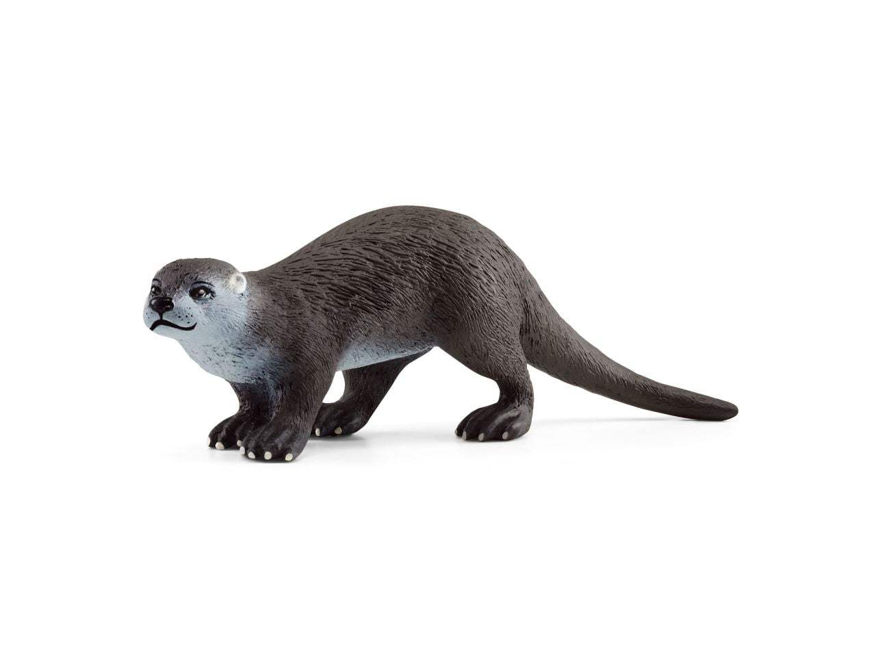 Lontra