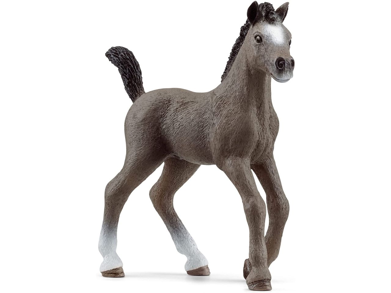 Puledro cheval de selle francais