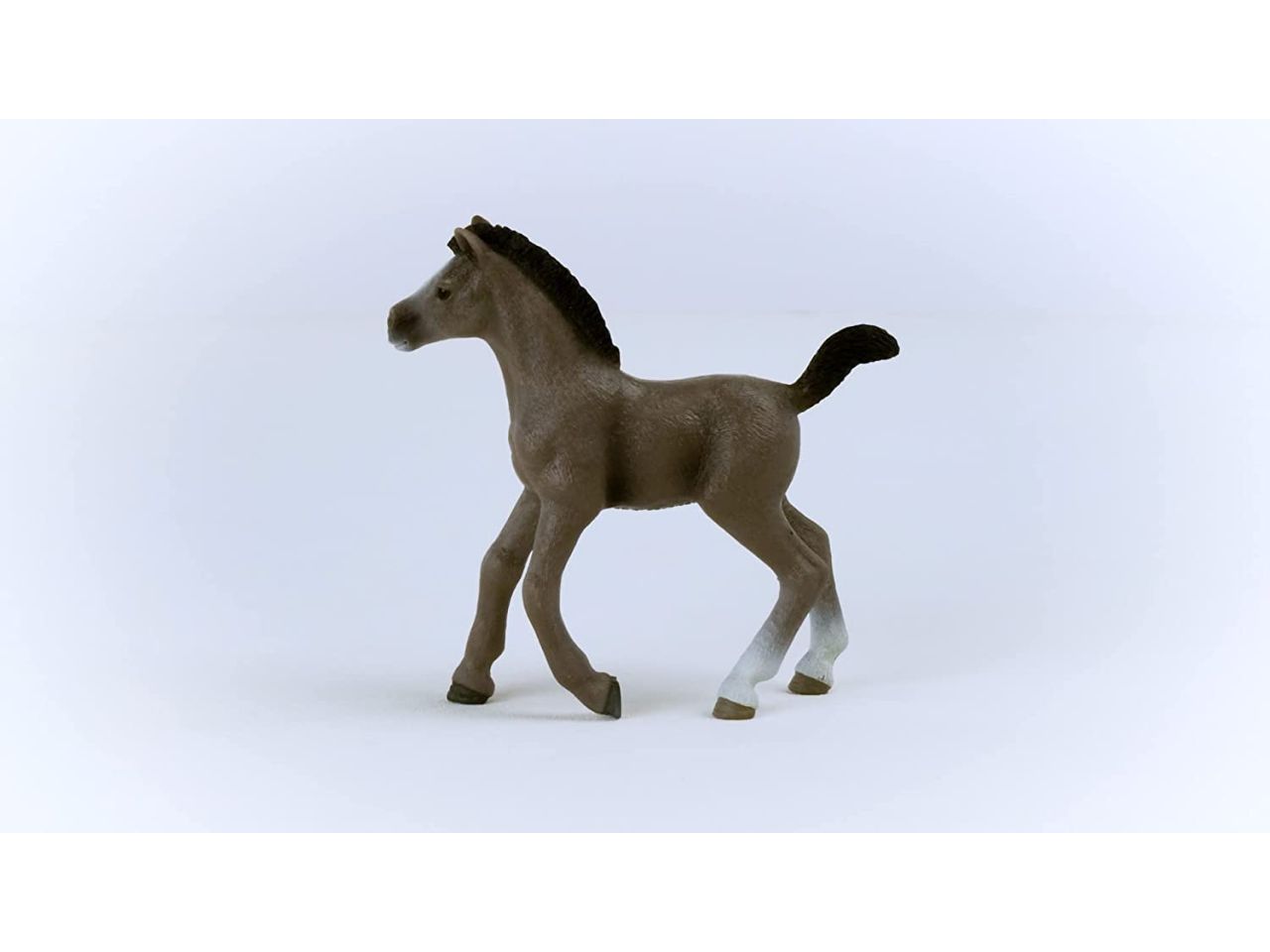 Puledro cheval de selle francais