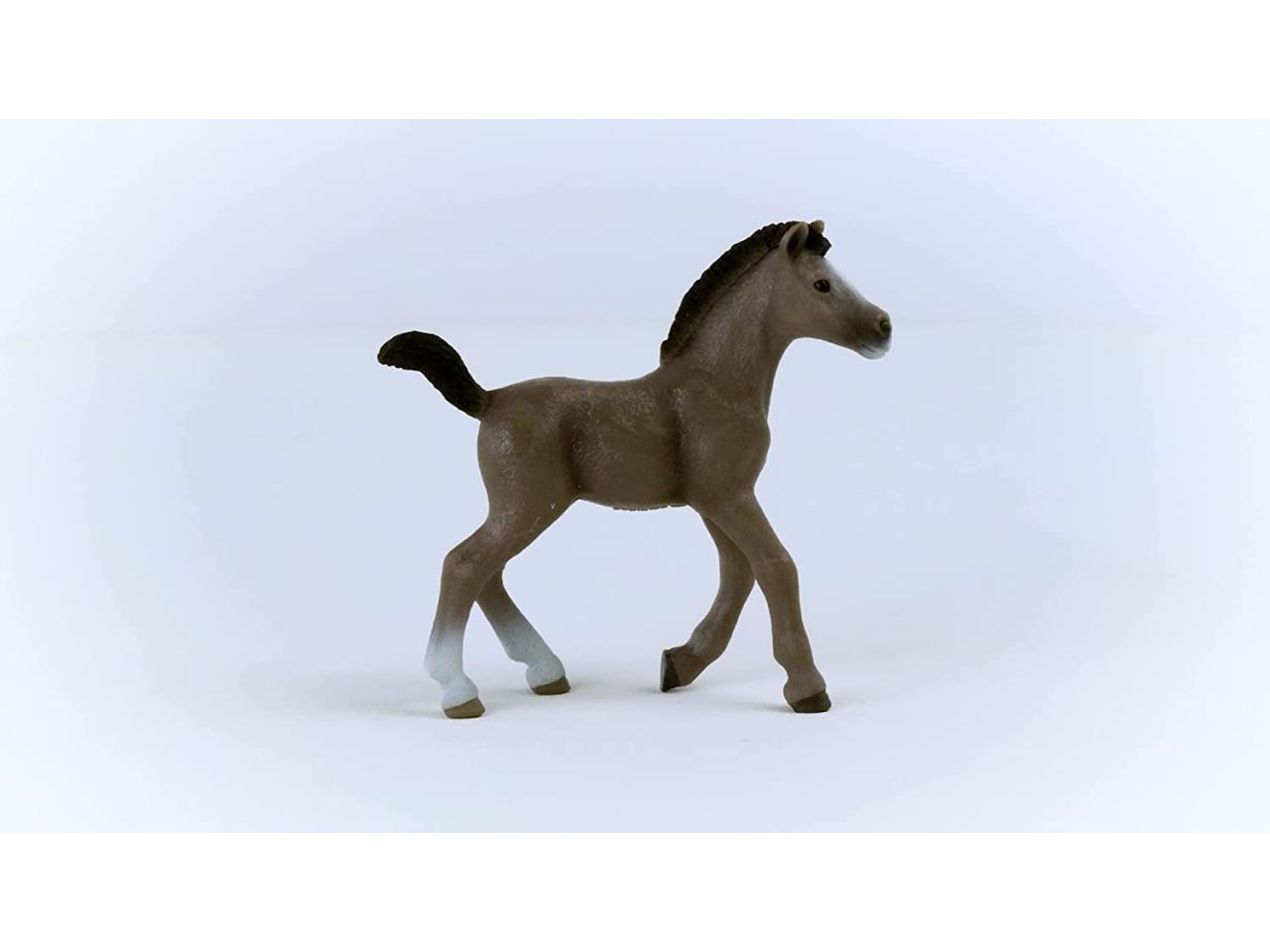 Puledro cheval de selle francais