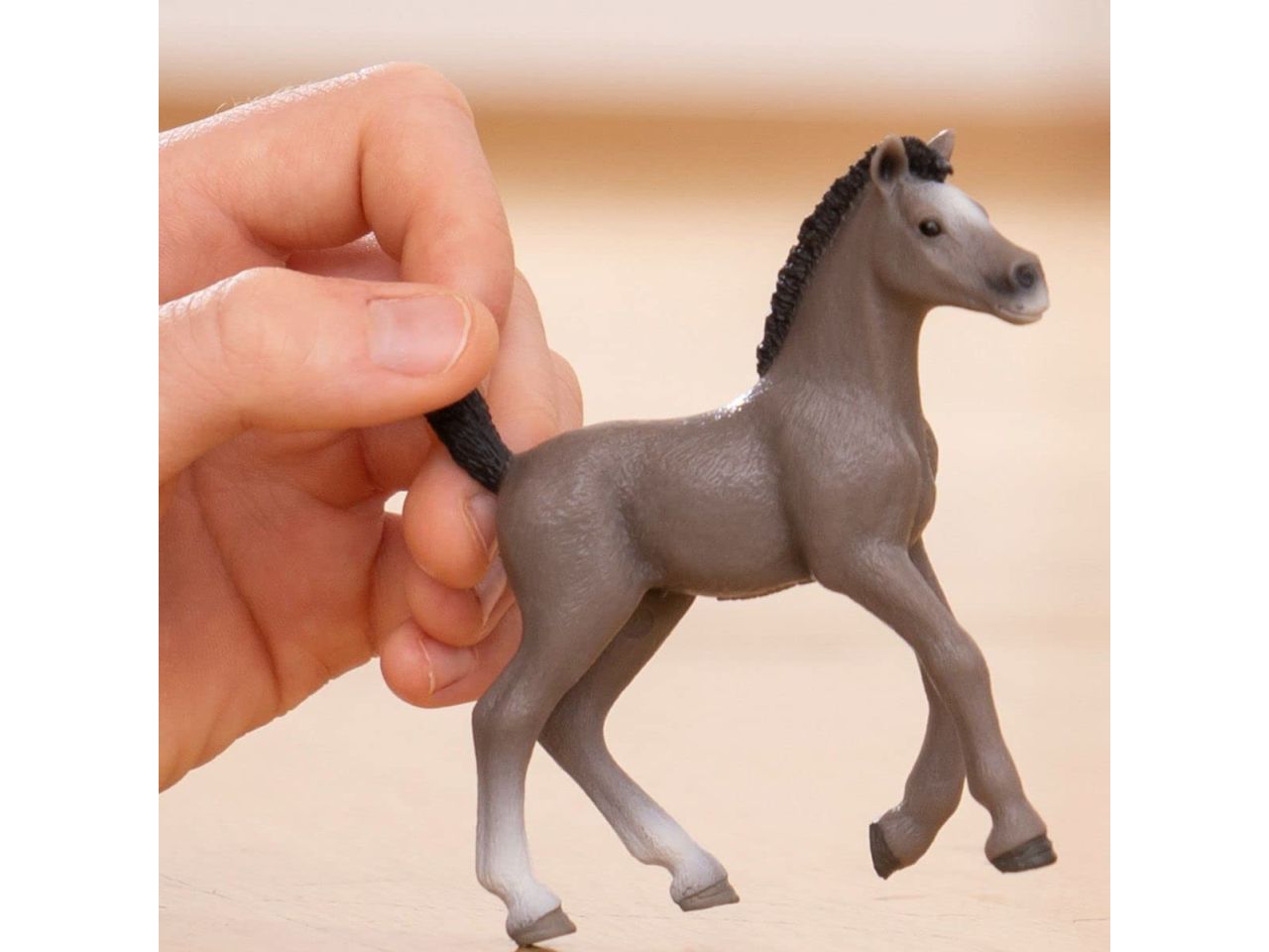 Puledro cheval de selle francais