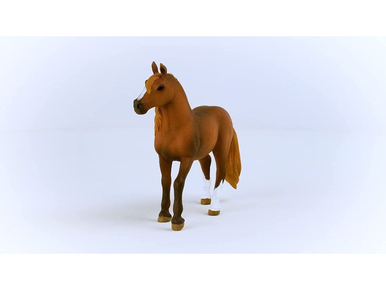 Cavallo paso mare peruviano