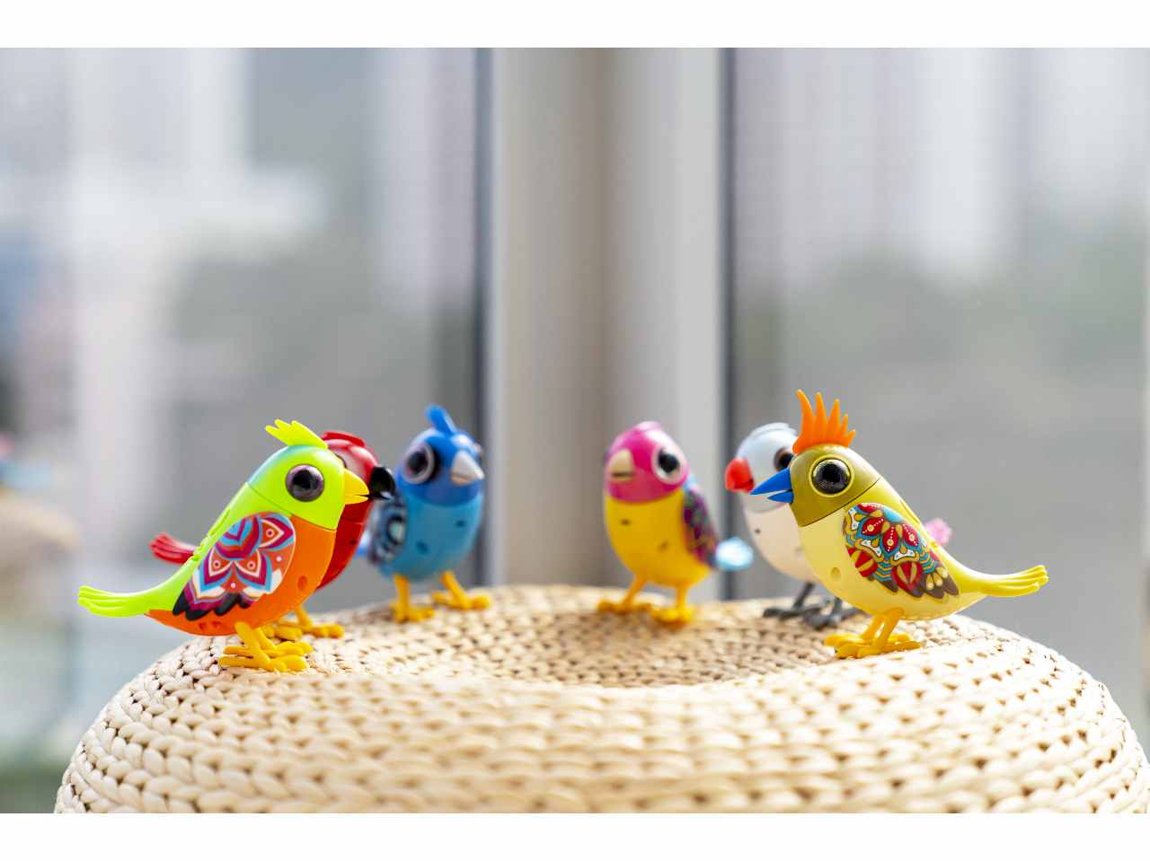 Digibirds single pack serie 2 assortiti