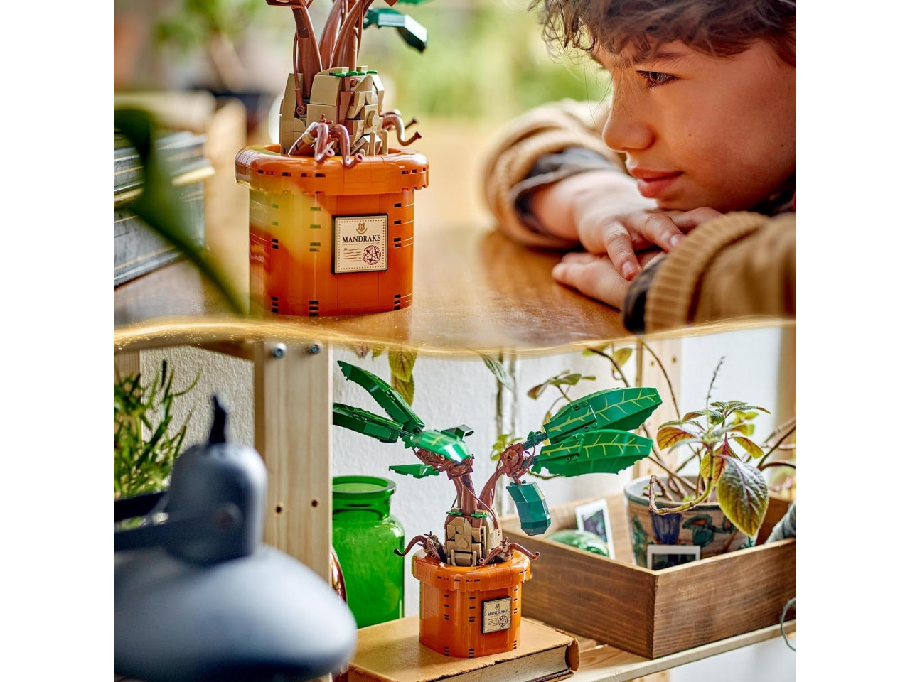 Lego Harry Potter Mandragola, set di costruzioni in scatola da 579 pezzi, per ragazzi 10+ anni 76433