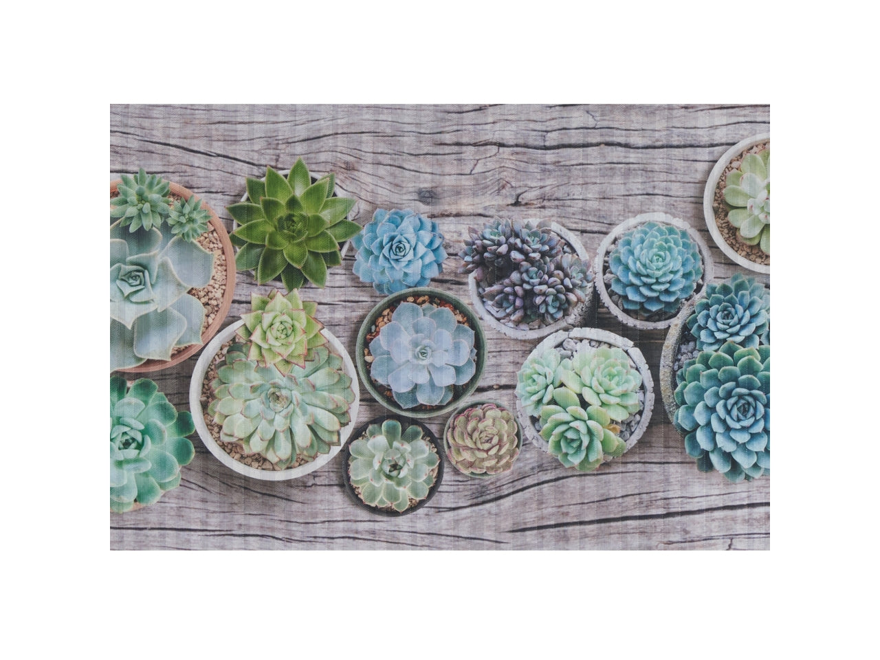 Tappeto happy misura 50x230cm cactus