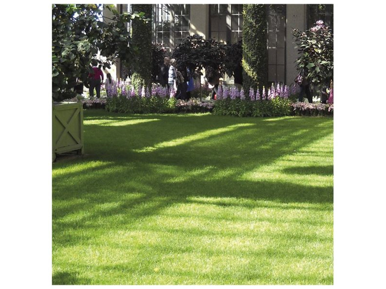 Erba sintetica 35mm 2x20