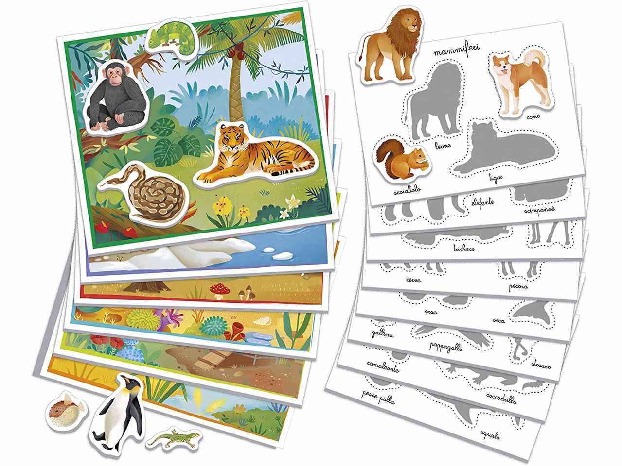 Montessori gli animali 16360