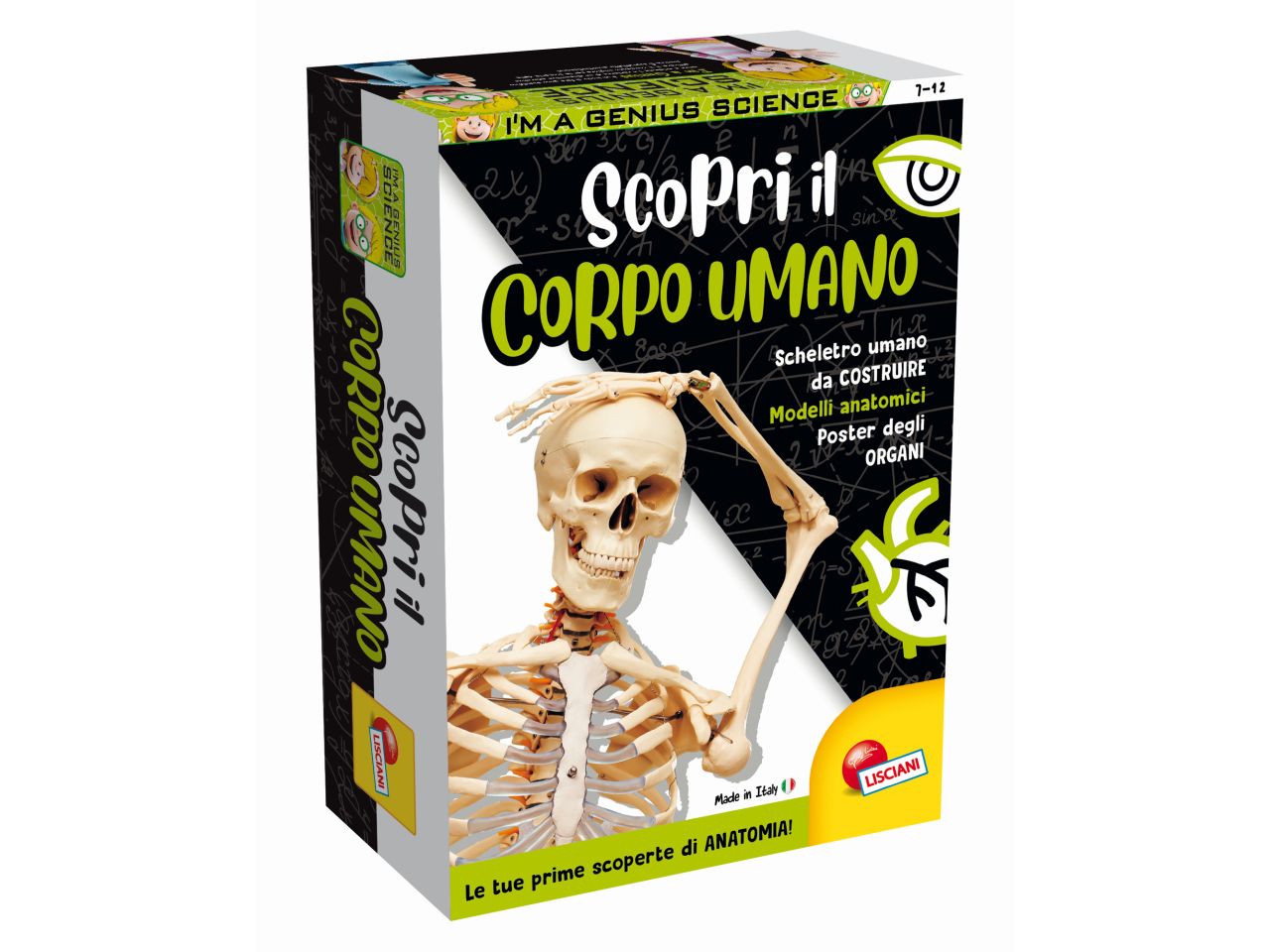 I'm a genius scienza pocket scopri il corpo umano