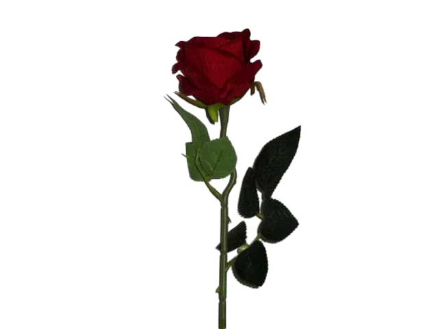 Rosa velvet rossa 6010
